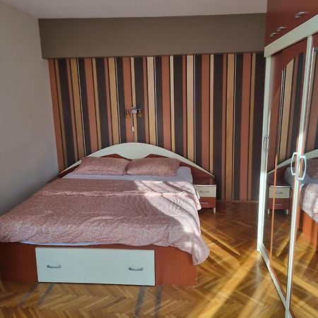 Nice & Relaxing Central Apartment Baia Mare Dış mekan fotoğraf