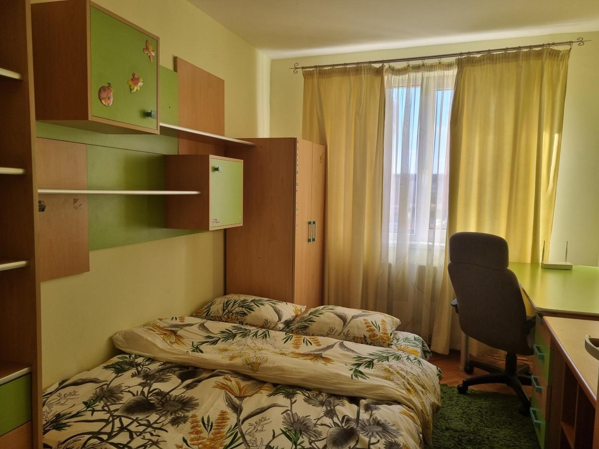Nice & Relaxing Central Apartment Baia Mare Dış mekan fotoğraf