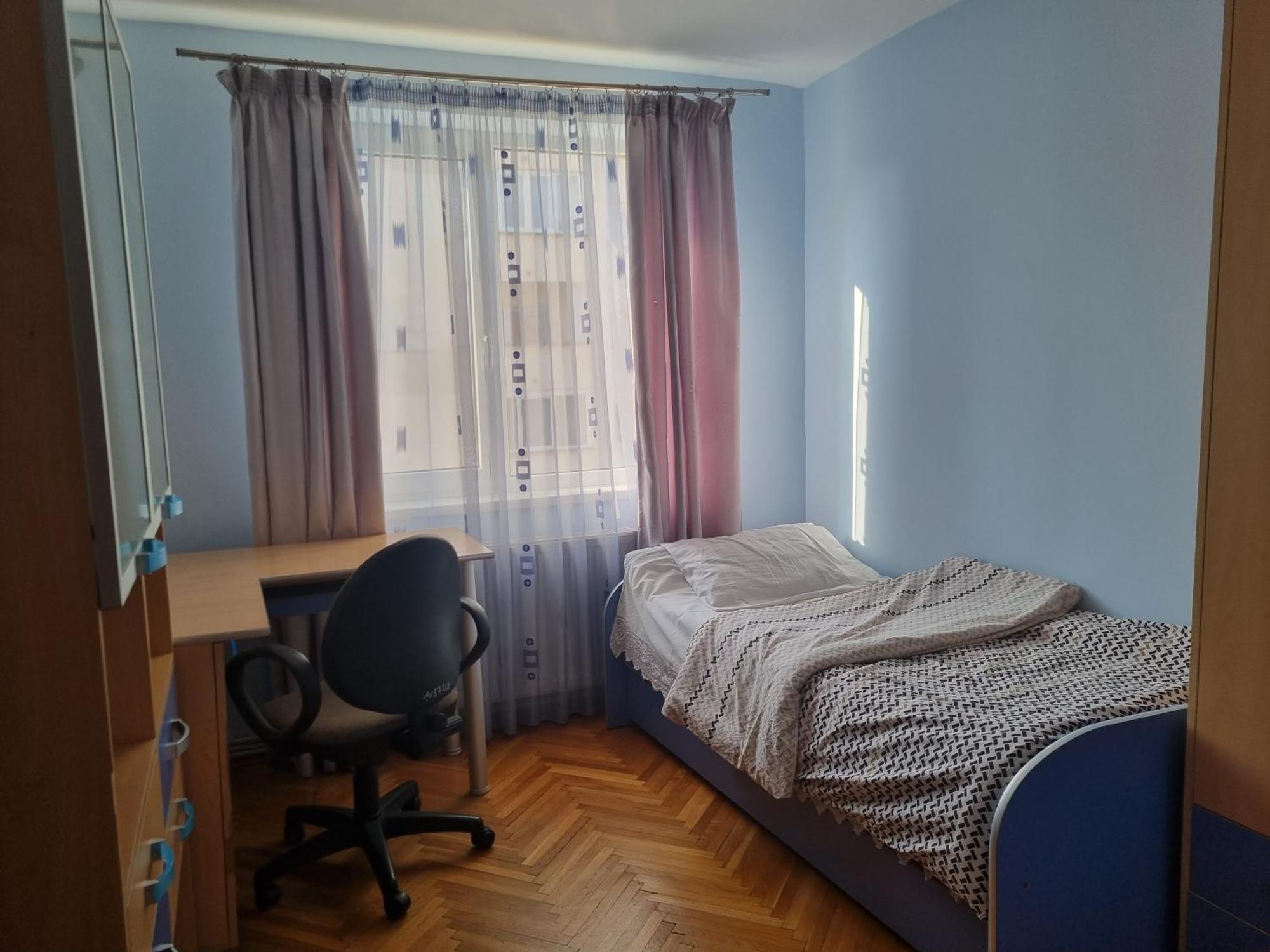 Nice & Relaxing Central Apartment Baia Mare Dış mekan fotoğraf