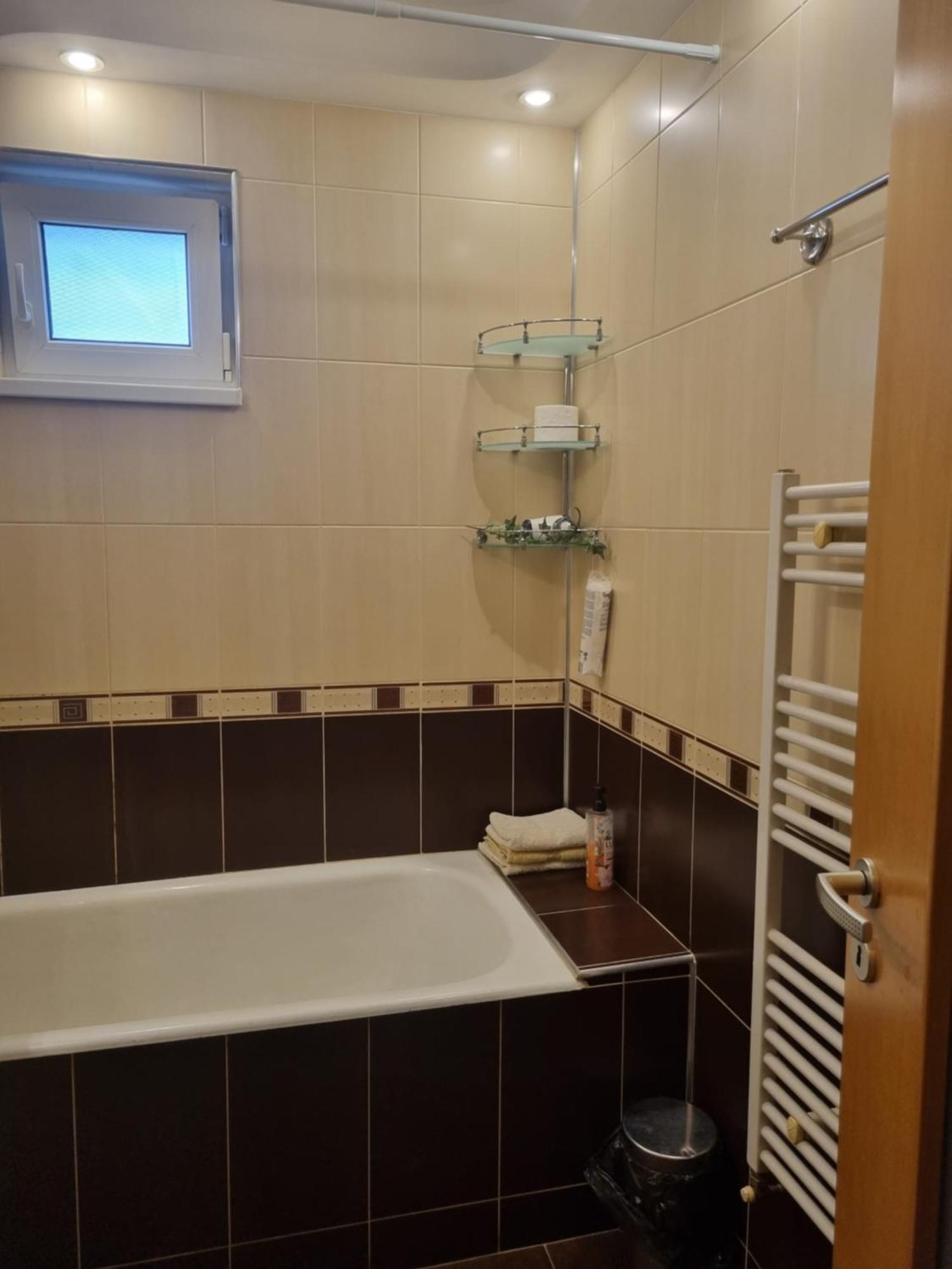 Nice & Relaxing Central Apartment Baia Mare Dış mekan fotoğraf